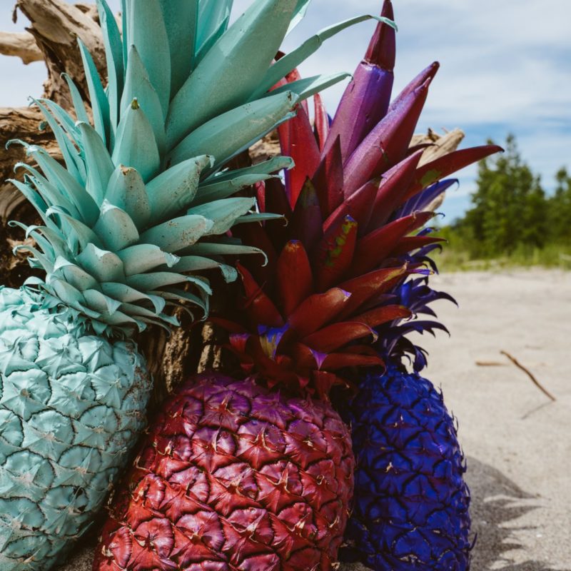 Colorful Pineapples